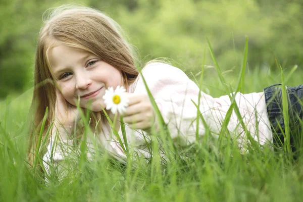 Adorable little girl in the forest meadow — Stock Photo, Image