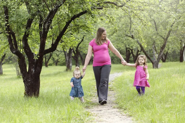 Familie im Wald hat Spaß zusammen — Stockfoto