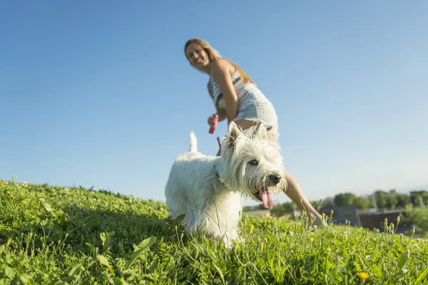 Portret pięknej dziewczyny, utrzymanie pies zewnątrz ładny biały West Highland — Zdjęcie stockowe
