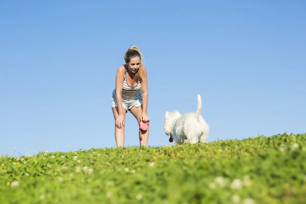 Retrato de hermosa chica mantener bastante blanco West Highland perro al aire libre —  Fotos de Stock