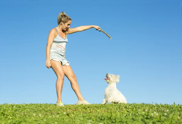 Портрет красивой девушки, держащей красивую белую собаку Вест Хайленд на открытом воздухе — стоковое фото