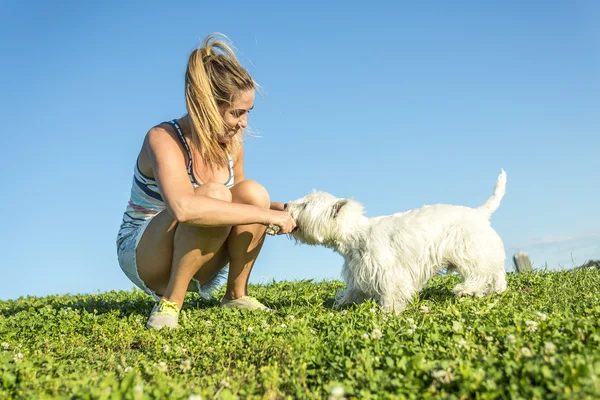 Retrato de hermosa chica mantener bastante blanco West Highland perro al aire libre —  Fotos de Stock