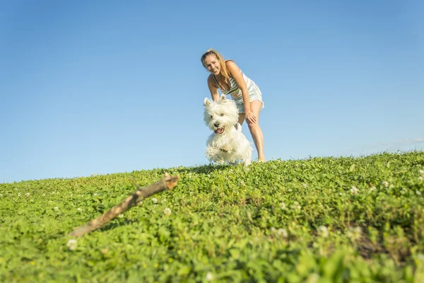 Güzel kız güzel beyaz Batı Highland köpek açık tutmak portresi — Stok fotoğraf