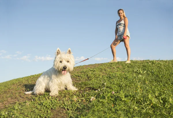 Portret pięknej dziewczyny, utrzymanie pies zewnątrz ładny biały West Highland — Zdjęcie stockowe