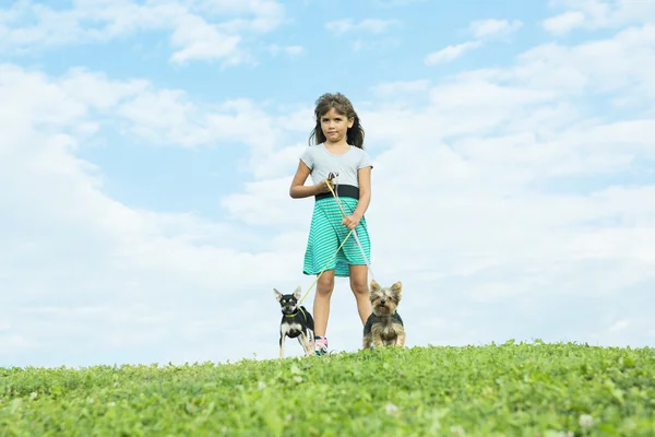 Portrait of girl keeping pretty dog outdoor — Stock Photo, Image