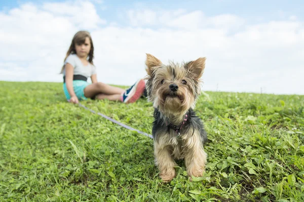 Portrait of girl keeping pretty dog outdoor — Stock Photo, Image