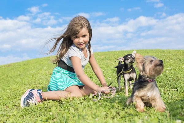 Portret dziewczyny, zachowując dość pies zewnątrz — Zdjęcie stockowe