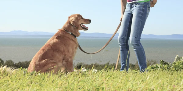 Chica divertida juega con el perro fuera —  Fotos de Stock