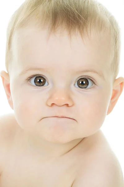 Sweet little boy sitting on studio white background — Stock Photo, Image