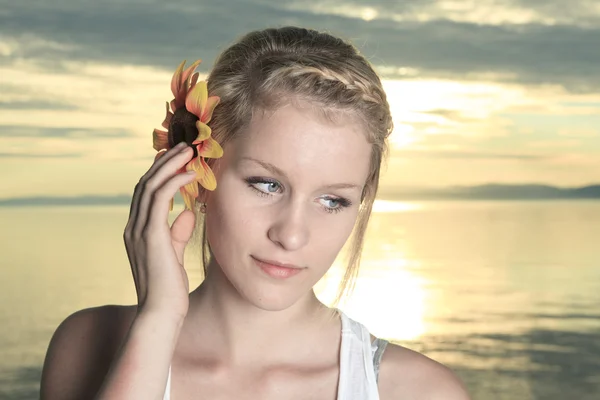 Letní radosti s slunečnice na ucho — Stock fotografie