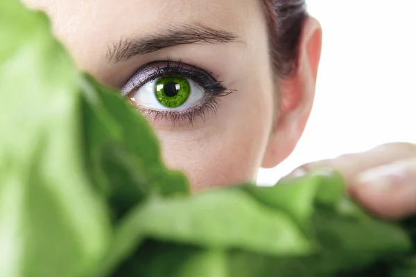Eye Salad Holding — Stock Photo, Image