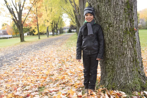 Söt pojke med höstlöv i parken — Stockfoto