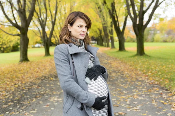 Красивая беременная женщина в осеннем парке — стоковое фото
