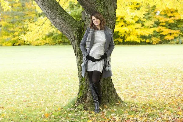 Belle femme enceinte dans le parc d'automne — Photo