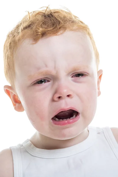 Bebé niño retrato grito aislado blanco fondo — Foto de Stock