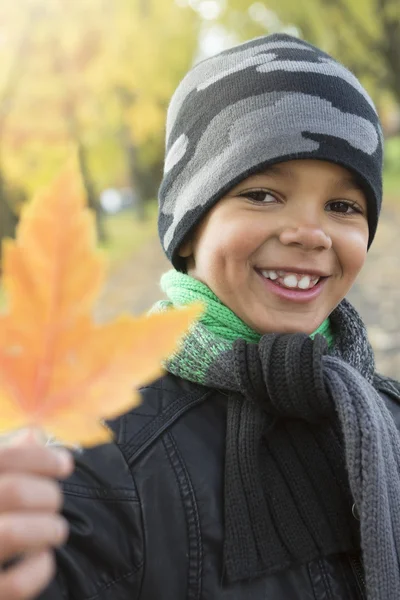 Schattige jongen met najaar bladeren in het park — Stockfoto
