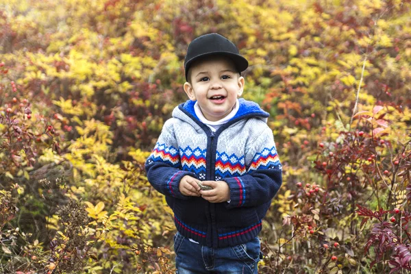 Schattige jongen in herfst park — Stockfoto