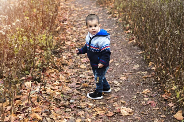 Chłopiec w parku jesień — Zdjęcie stockowe