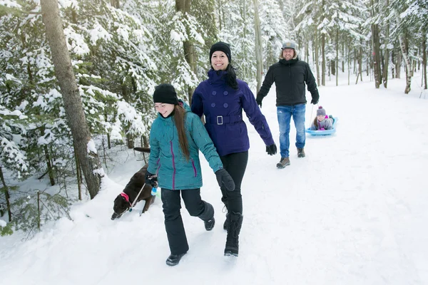 Familia tirando de trineo a través de paisaje nevado — Foto de Stock