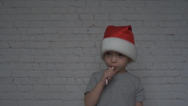 Little boy in Santa hat eating Christmas candy cane — Stock Video