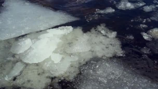Smeltend ijs drijvend op de rivier in het vroege voorjaar — Stockvideo