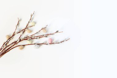 Easter frame with pussy willow branches and colorful Easter eggs with copy space on white background, minimal Easter background