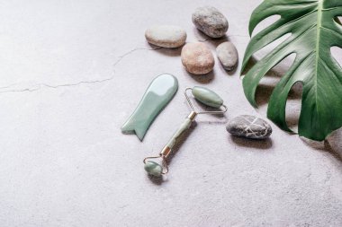 Yüz masajı için Guasha spa araçları, çakıl taşları ve tropikal canavar yaprağı ile yeşil guasha masaj silindiri ve kazıyıcı, SPA rahatlama, yüz ve cilt bakımı