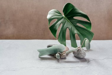 Yüz masajı aletleri: çakıl taşlı yeşim guasha masaj silindiri ve çakıl taşlı kazıyıcı ve açık gri arka planda tropikal canavar yaprağı, SPA rahatlama, yüz ve cilt bakımı