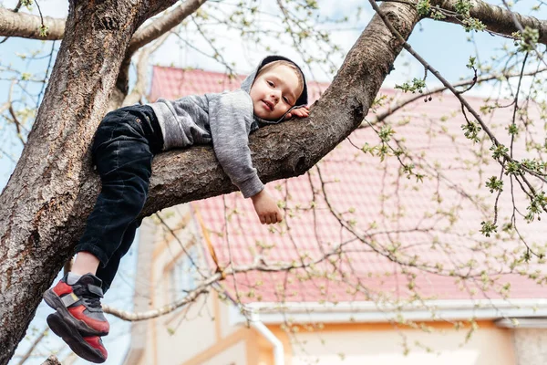 Lindo niño trepando a un árbol y acostado en una rama de árbol, actividad al aire libre de los niños — Foto de Stock