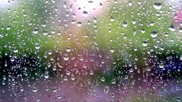 Dešťové kapky kapající oknem za deštivého dne — Stock video