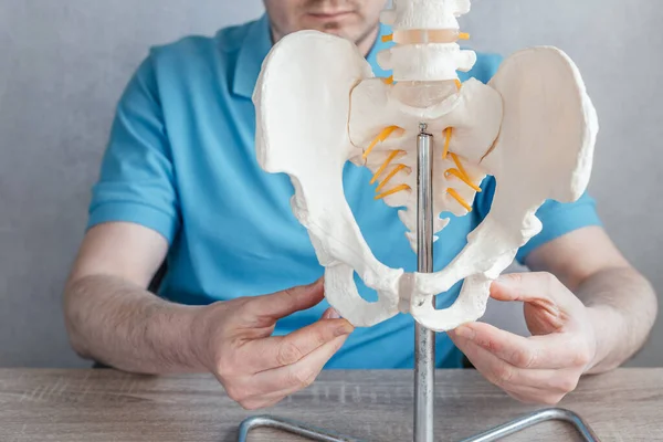 Erkek doktorun elinin iskiyal tüberkülozluk gösteren görüntüsünü kapat ya da iskelet omurga modeline kemikleri yerleştir.