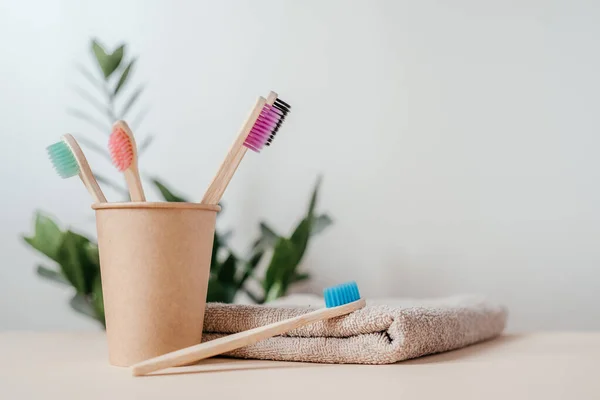 Colorful bamboo toothbrushes in a paper cup with a towel and green plant, dental care with zero waste concept, sustainable lifestyle — Stock Photo, Image
