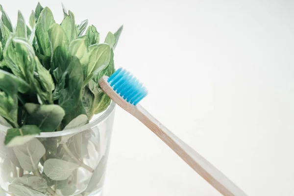 A blue color eco friendly bamboo toothbrush put on a glass with green leaves, dental care with zero waste concept, sustainable lifestyle — Stock Photo, Image