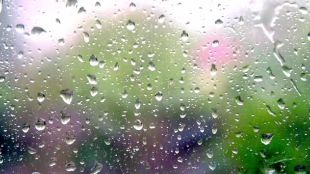 Regendruppels druppelen door het raam op een regenachtige dag — Stockvideo