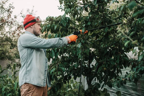 Man spraying aphids affected tree with insecticidal soap, agricultural worker spraying toxic pesticides or insecticides on fruit growing plantation