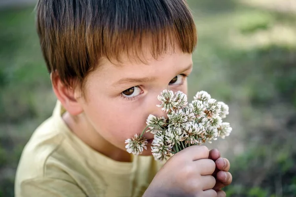 Lindo niño oliendo flores de trébol blanco, recogiendo flores en el verano, actividad al aire libre de los niños de verano — Foto de Stock