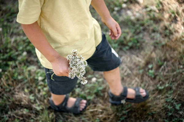 Niño pequeño con un ramo de flores blancas de trébol en la mano caminando en el verde prado de verano con un fondo borroso — Foto de Stock