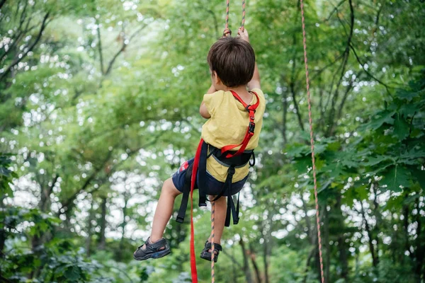 Petit garçon en selle d'escalade grimpant la corde dans la canopée de l'arbre avec équipement alpin et matériel d'escalade, activités estivales en plein air pour les enfants — Photo