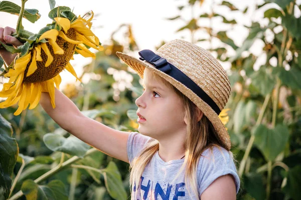 Hasır şapkalı küçük kız ayçiçeği tarlasında oynuyor, çocuklar yaz ayçiçekleri arasında.