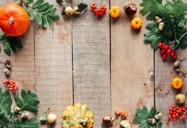 Sonbahar kompozisyonu balkabakları, meşe palamutları, sonbahar yaprakları, ve ahşap zemin üzerinde rowan üzümleri, sonbahar dairesi fotokopi alanı ile yatıyordu.