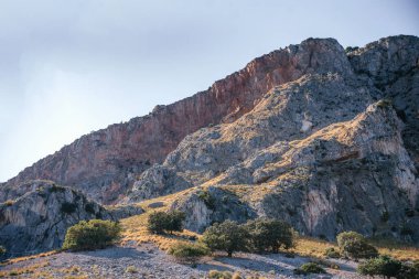 Sicilya 'da Capo Gallo' nun engebeli kayalık kayalıkları açık mavi gökyüzünün altında dağınık ağaçlar ve kuru otlarla. Seyahat, doğa, jeoloji ve Akdeniz manzaraları temaları için ideal
