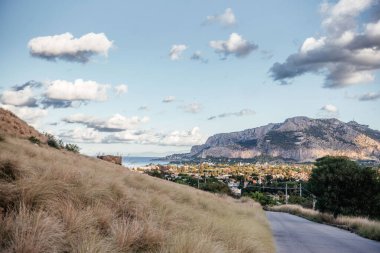 Palermo 'ya tepeden bakan bir yamaçta tek başına duran bir ağaç. Arka planda bulutlarla kaplı bir gökyüzünün altında yükselen Monte Pellegrino. Seyahat, doğa ve bölgesel peyzaj temaları için harika