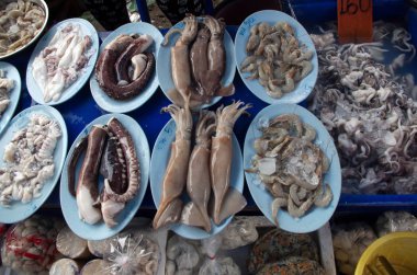 Tay deniz ürünleri