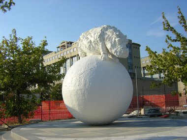 Acrobat Hippopotamus