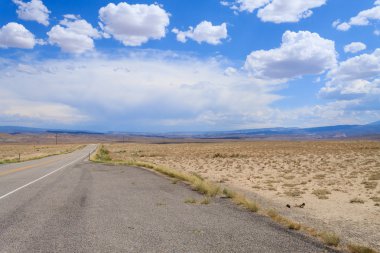 Yol perspektif, Colorado otoyol, Amerika Birleşik Devletleri