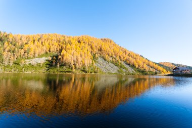 Su, dağ gölü sonbahar panorama üzerine düşünceler