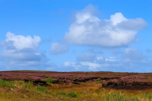 Rural scottish panorama — Stock Photo, Image