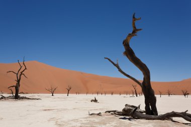 Ölü Vlei görünümü