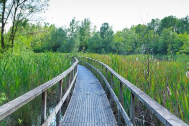 Lagün üzerinde eski yaya köprüsü