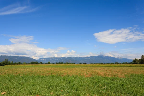 Agricultura, campo no cultivado —  Fotos de Stock